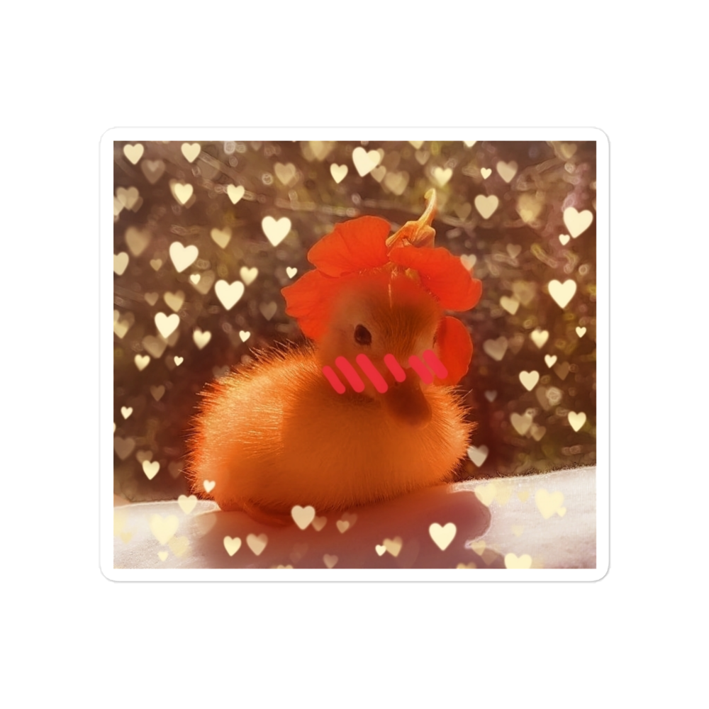 SweetDuck - Stickers